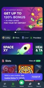 Screenshot of the Wild.io homepage